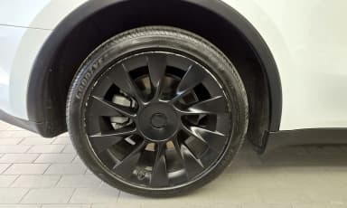 Model Y