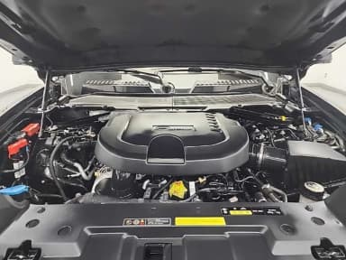Defender (L663)