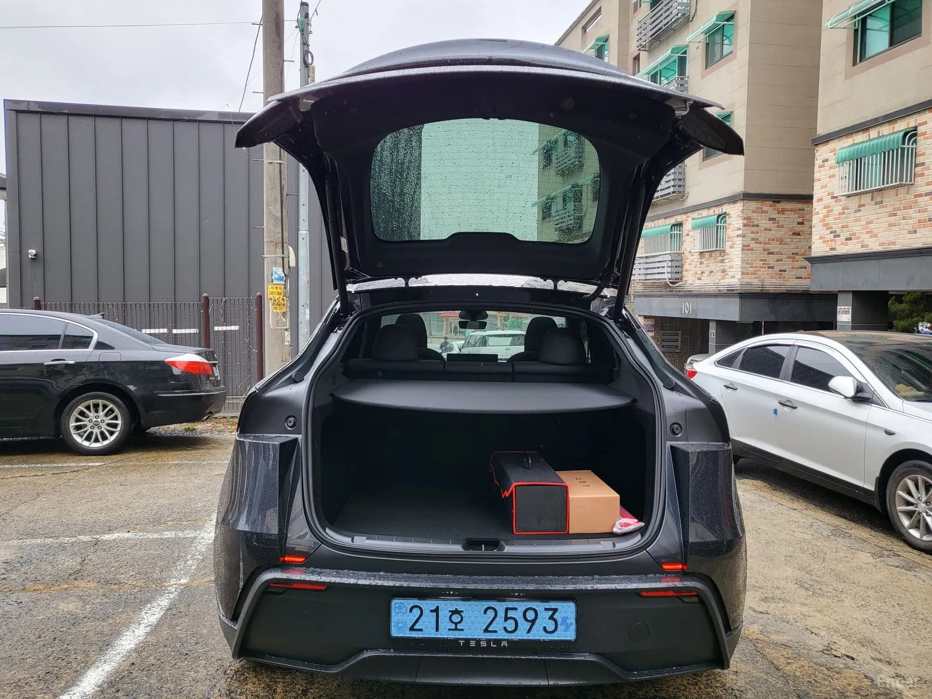 Model Y