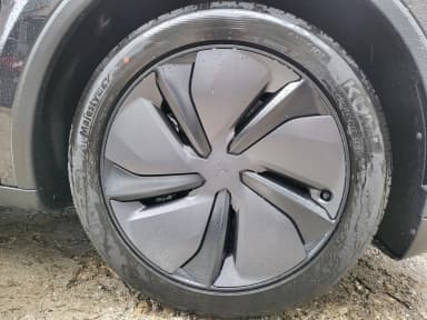 Model Y