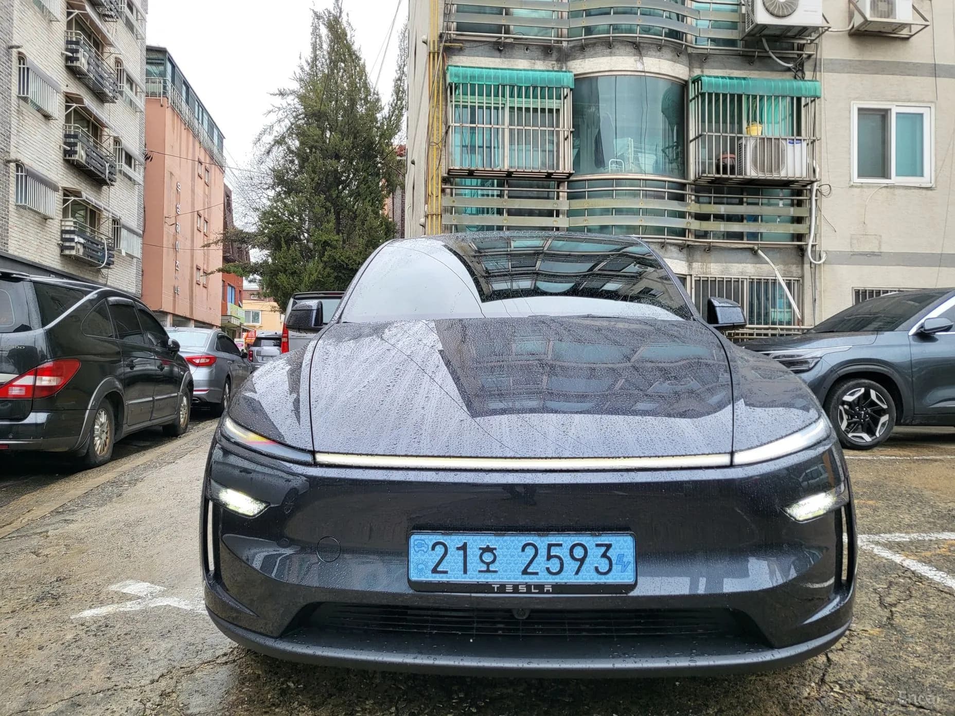 Model Y