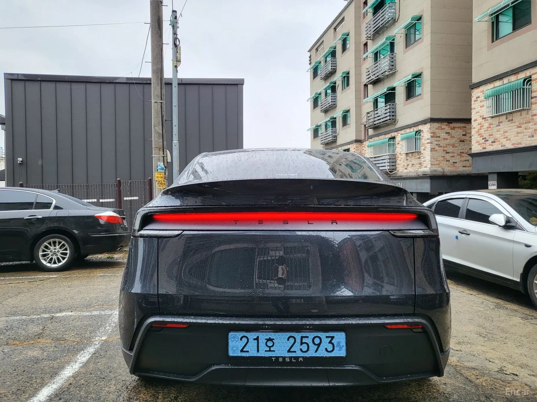 Model Y