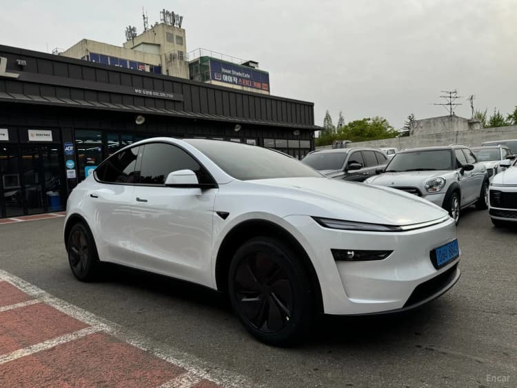 Model Y
