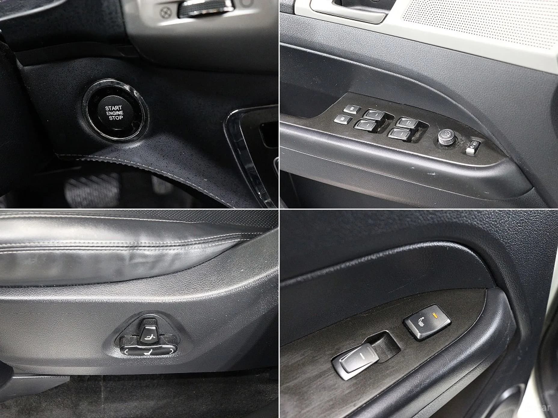 Rexton Sports