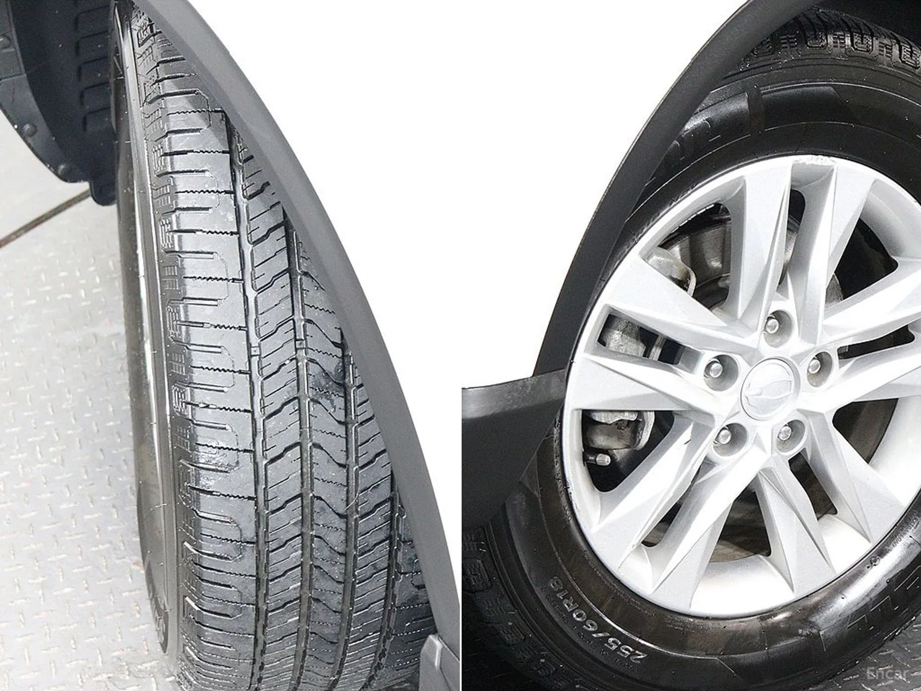 Rexton Sports