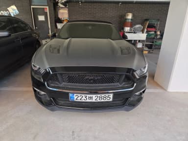 Mustang