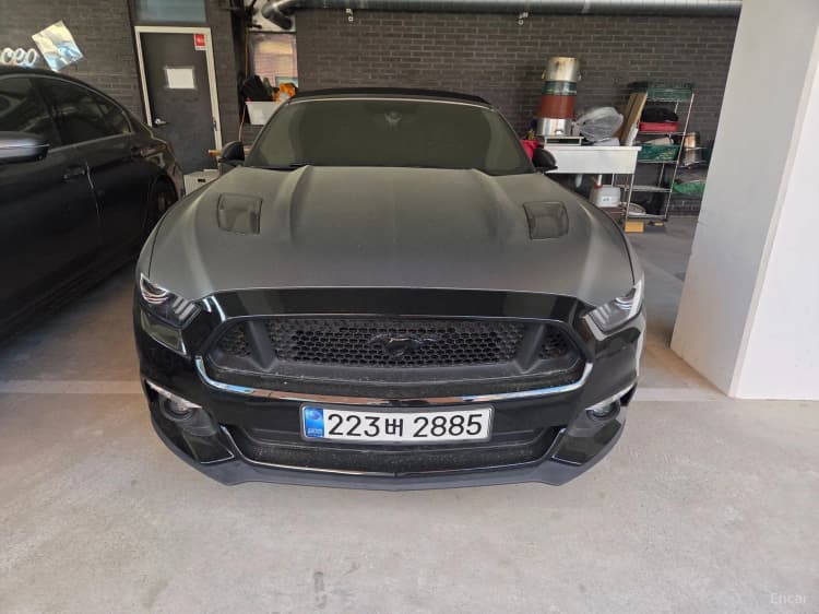 Mustang