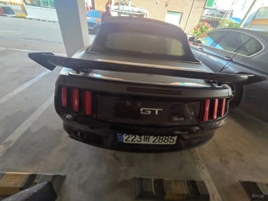 Mustang