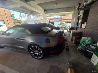 Mustang