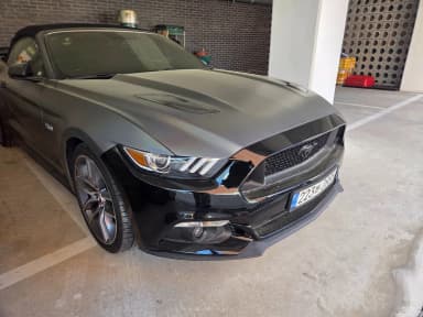 Mustang