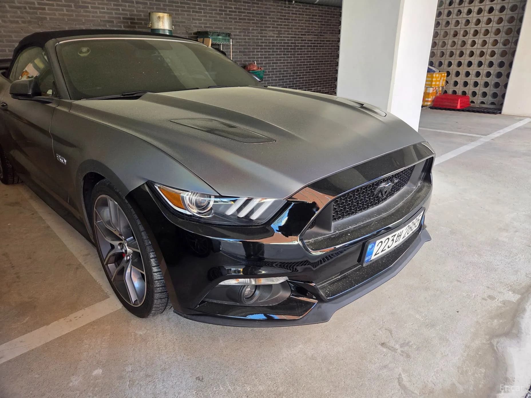 Mustang