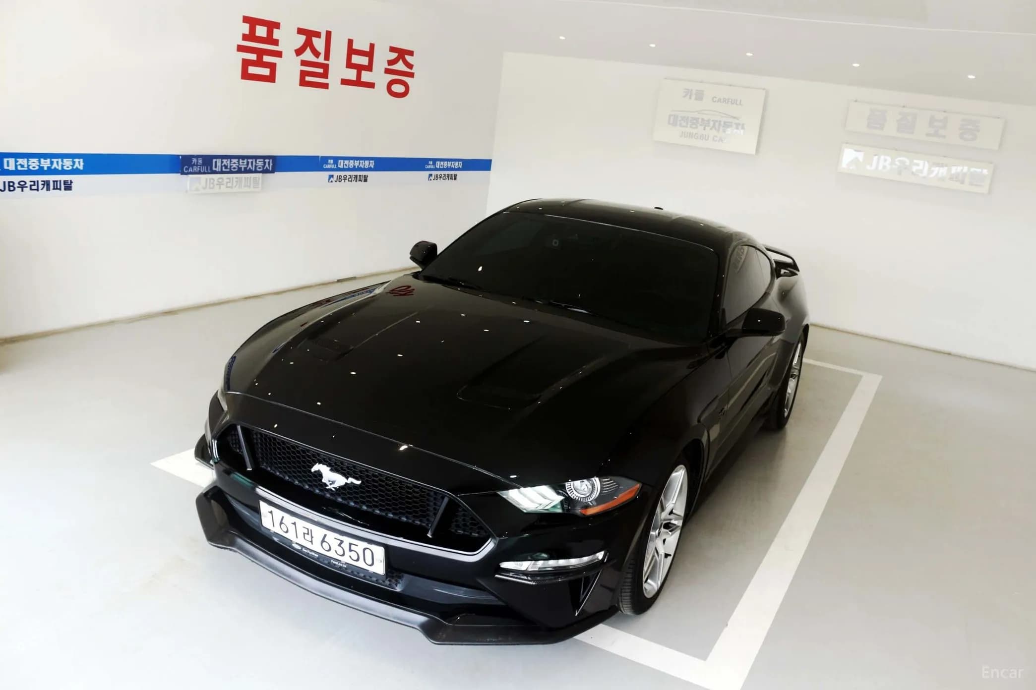 Mustang