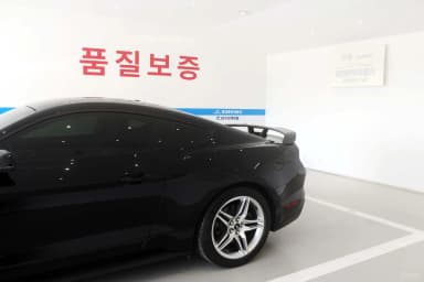 Mustang