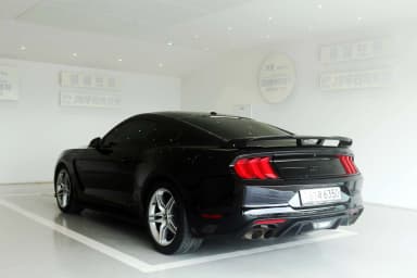 Mustang