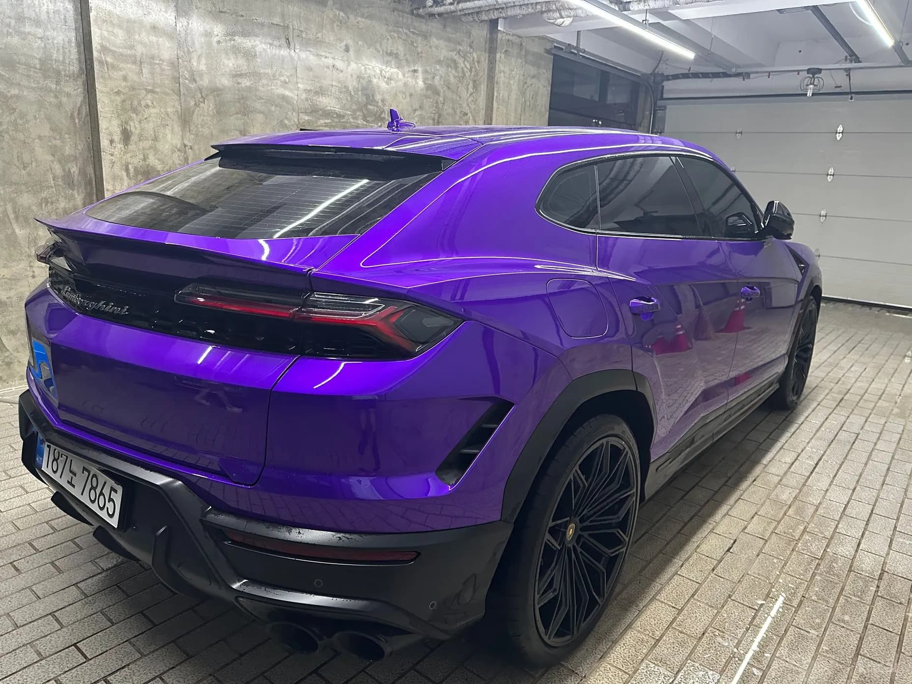 Urus