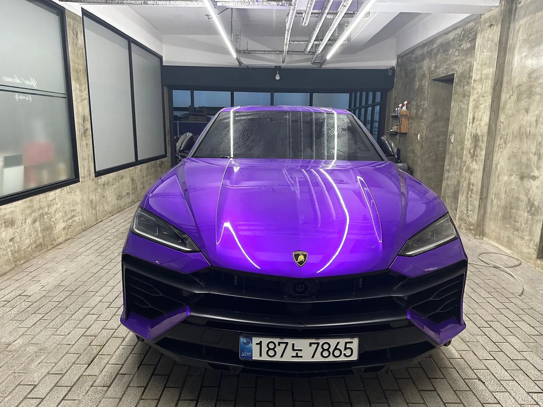 Urus
