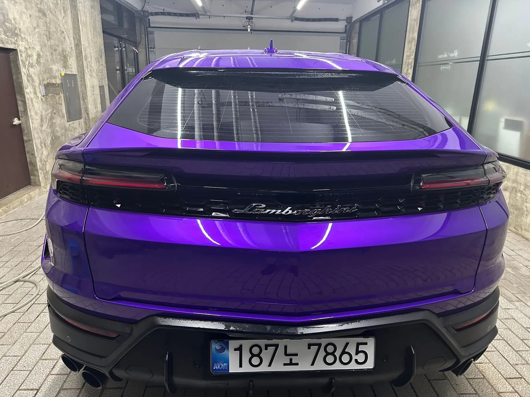 Urus