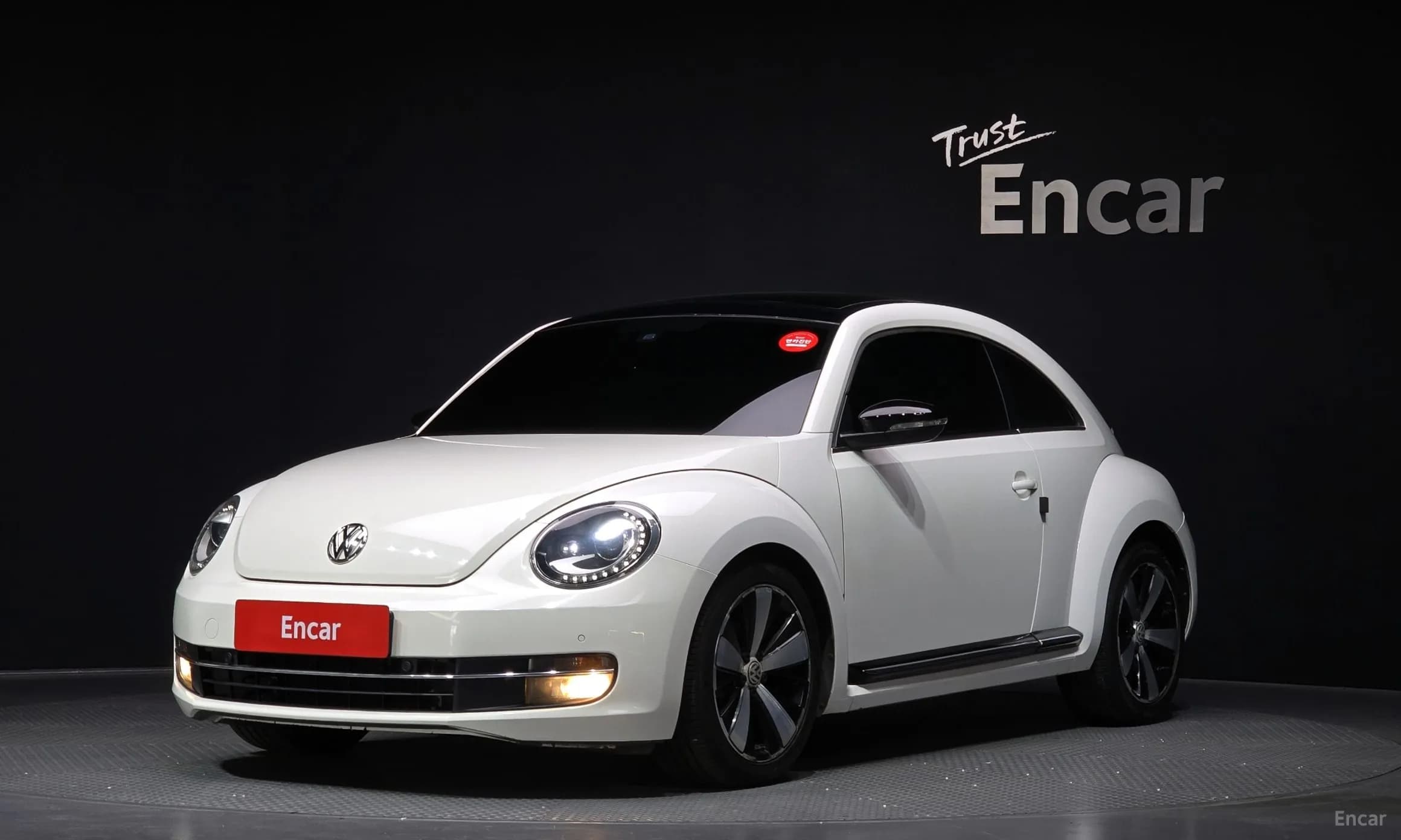 The Beetle