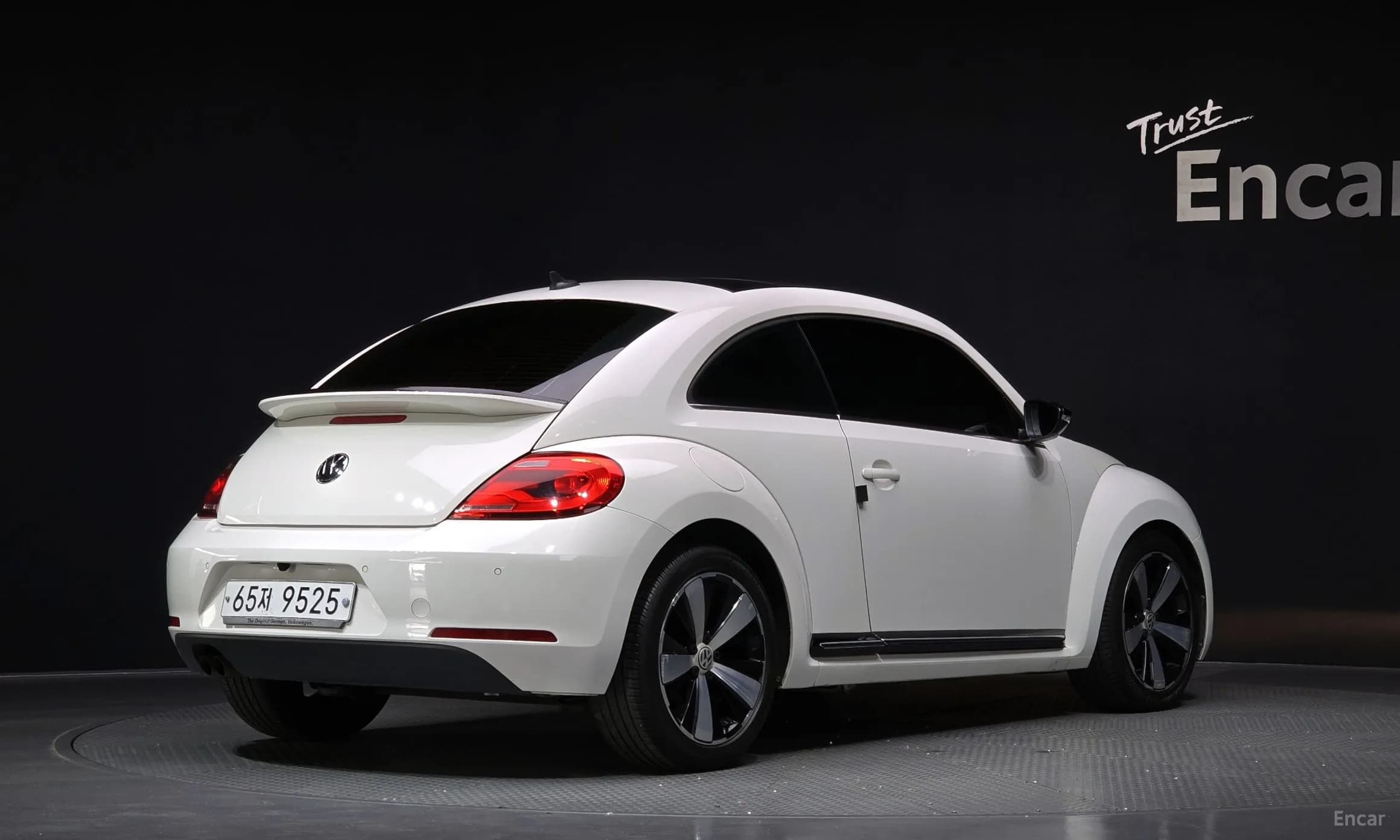 The Beetle