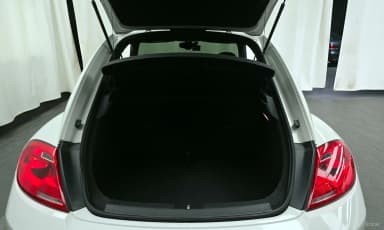 The Beetle