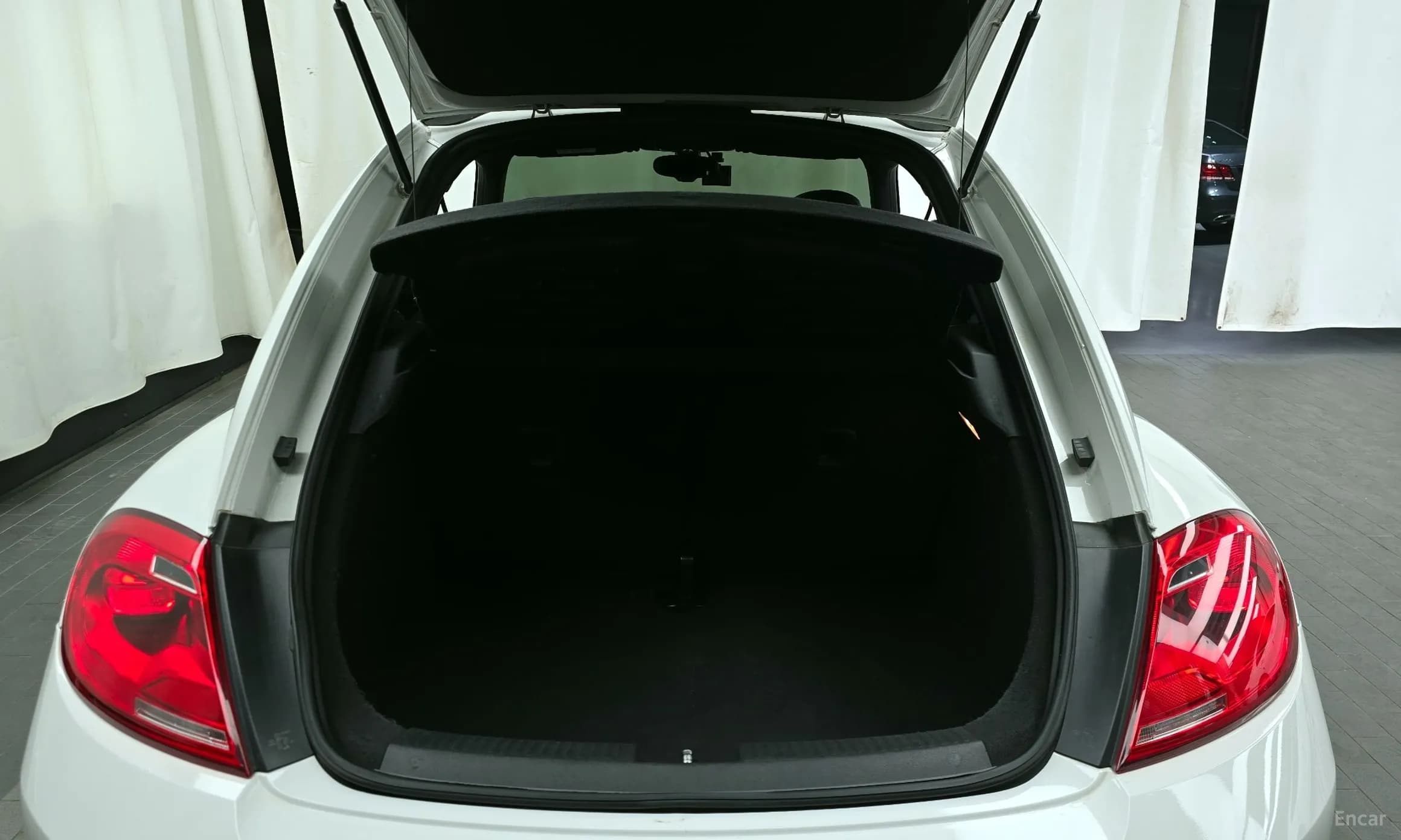 The Beetle