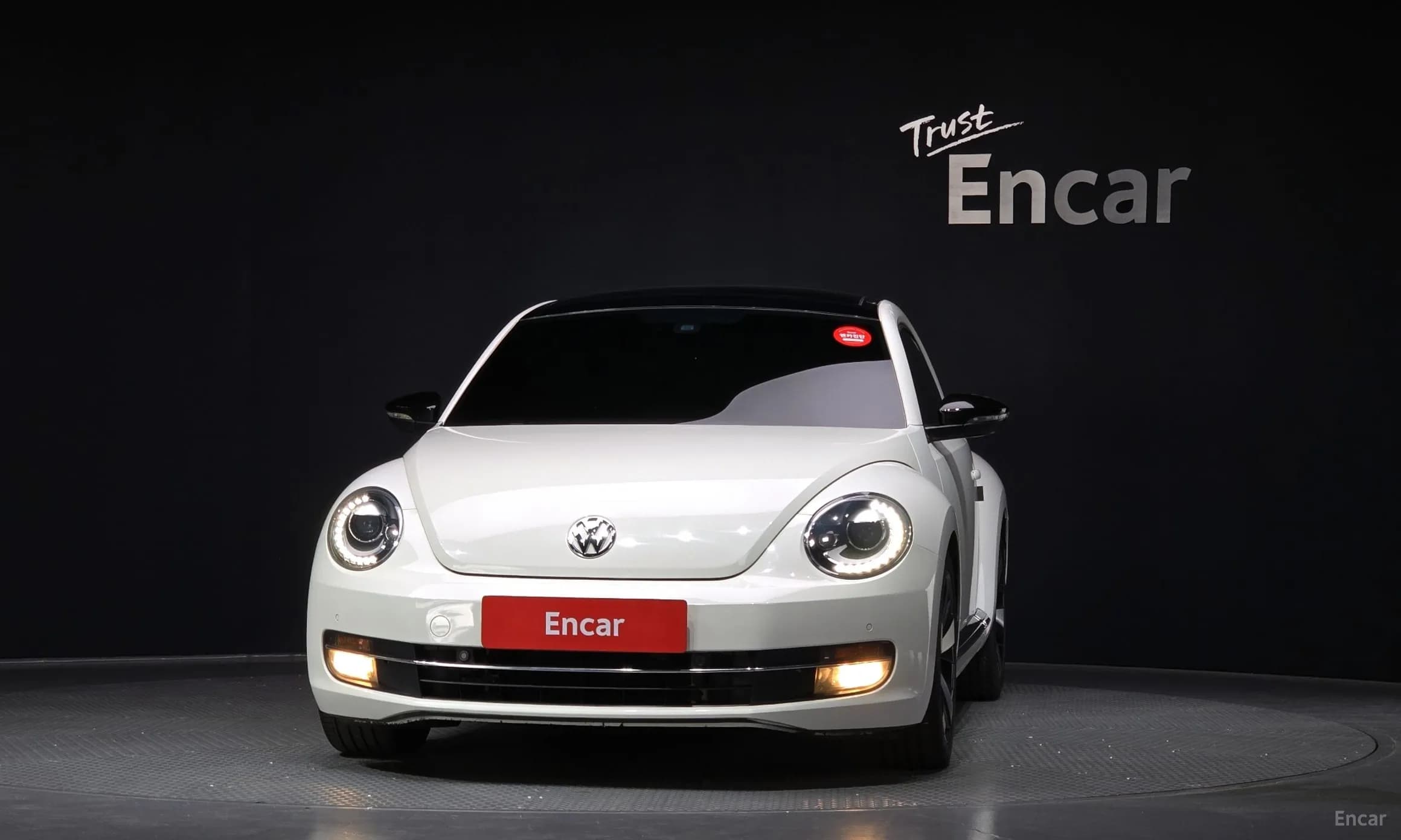 The Beetle