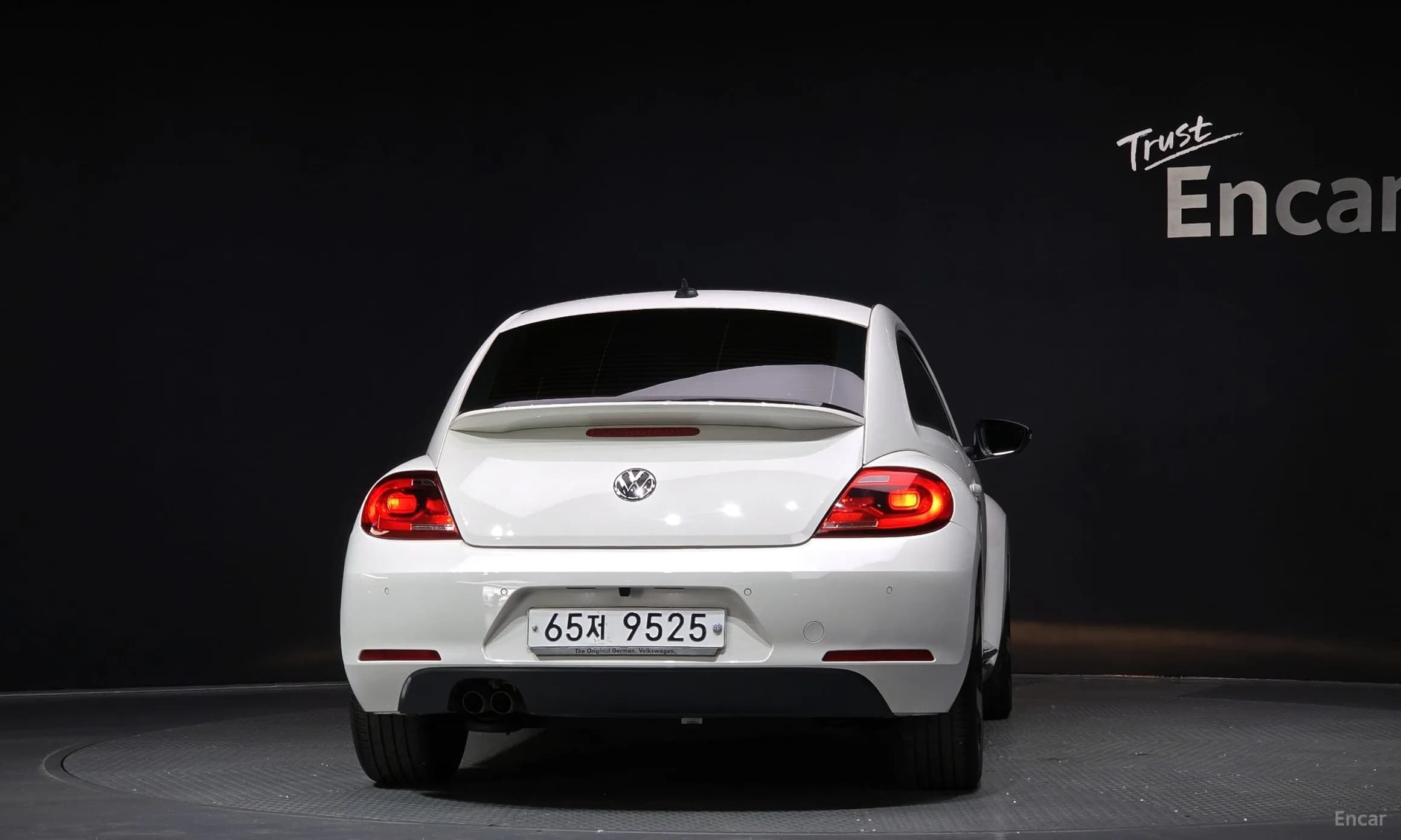 The Beetle