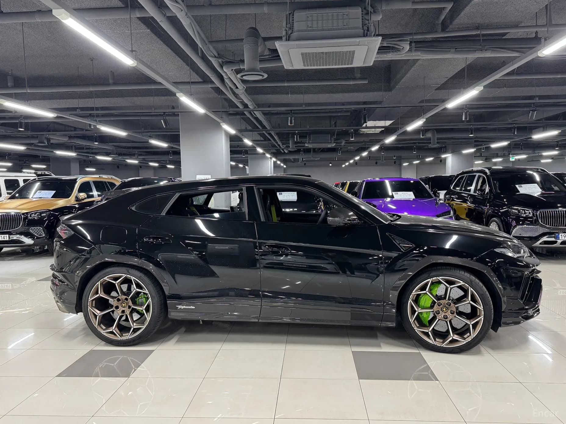 Urus