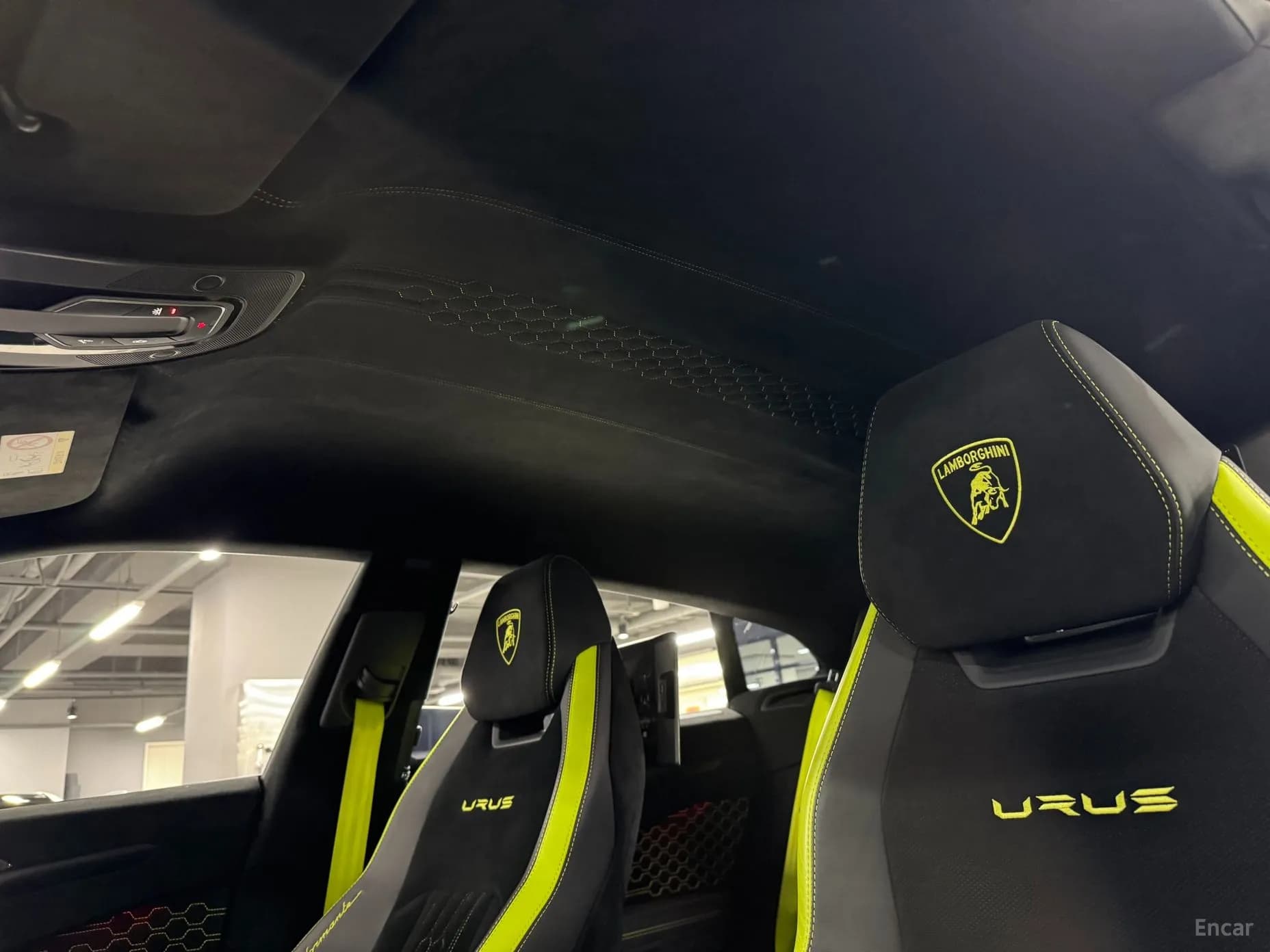 Urus