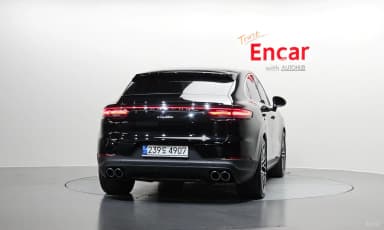 Cayenne (PO536)