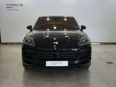Cayenne (PO536)