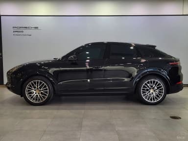 Cayenne (PO536)
