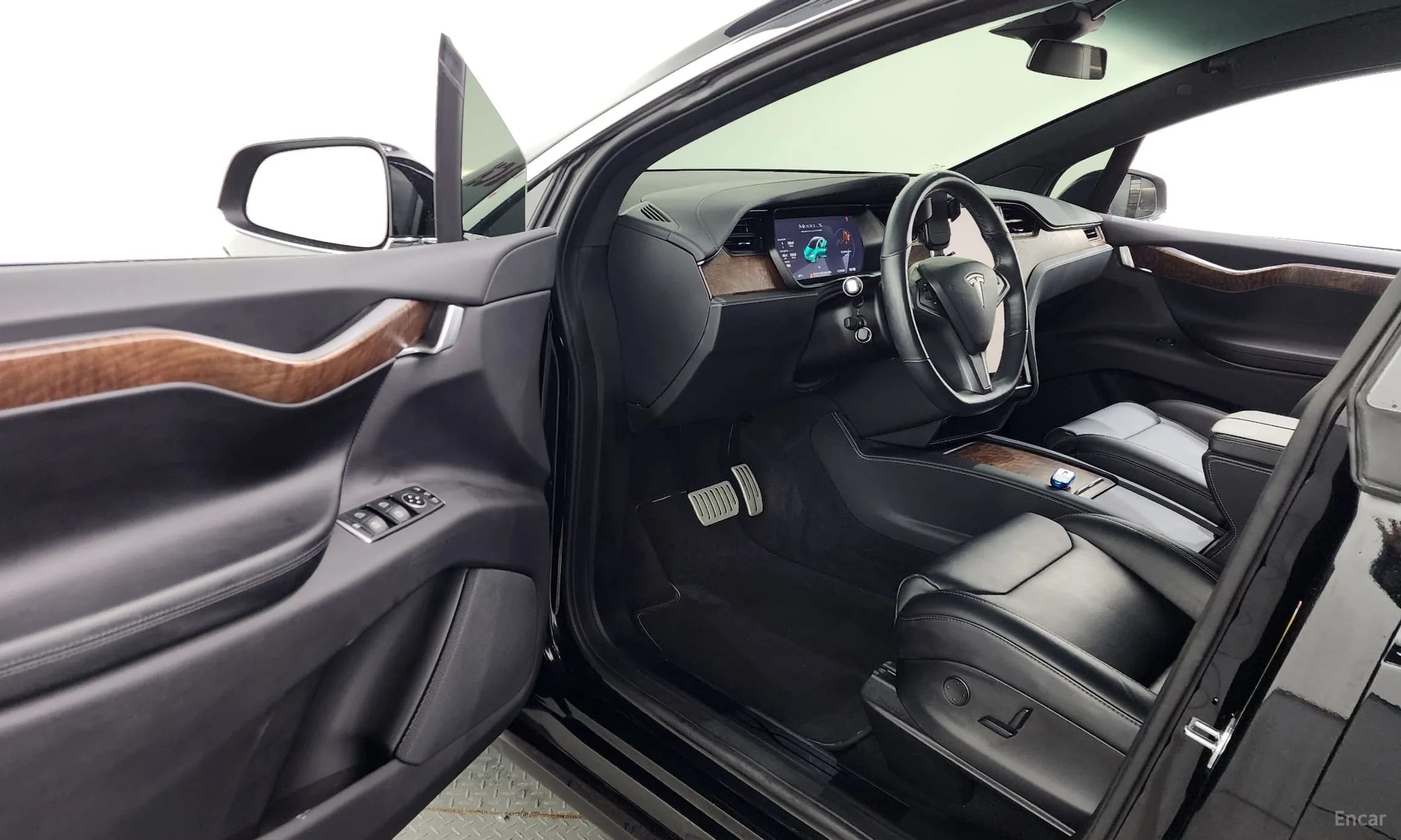 Model X