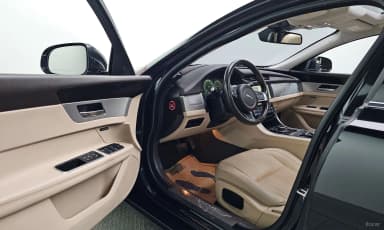 XF (x260)