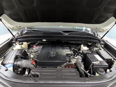 Rexton Sports