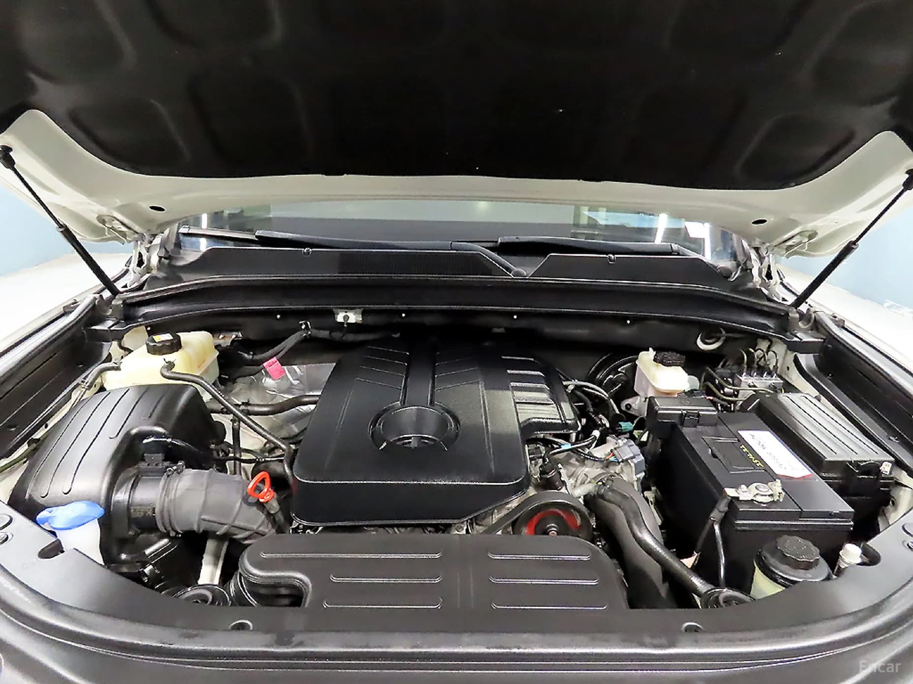Rexton Sports
