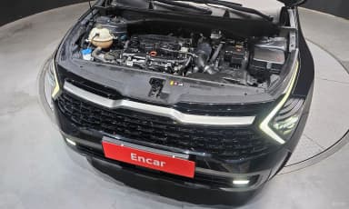 Sportage 5th Generation