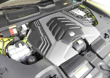 Urus
