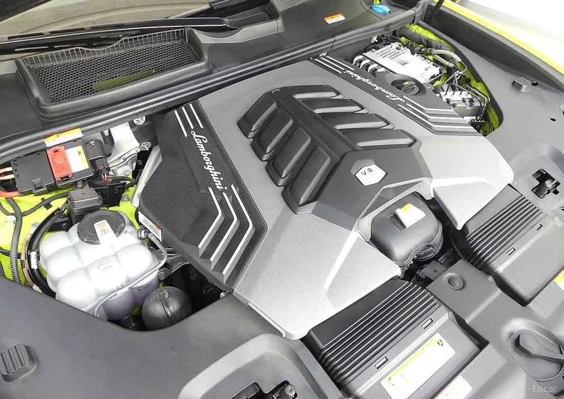 Urus