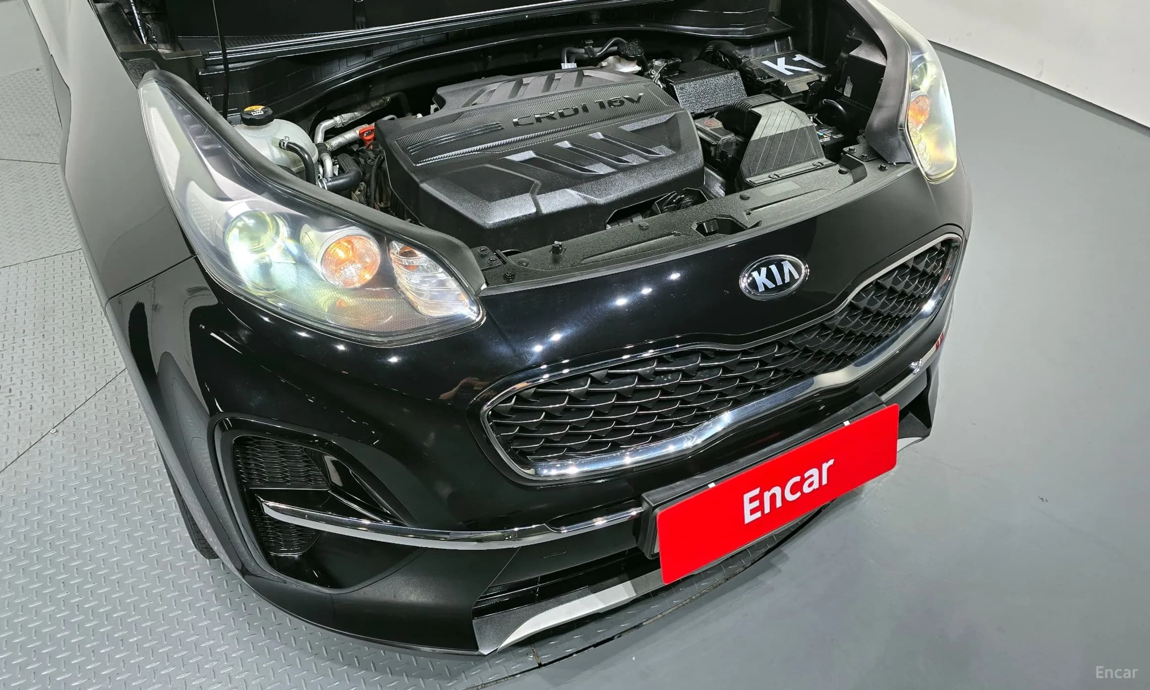 Sportage The Bold