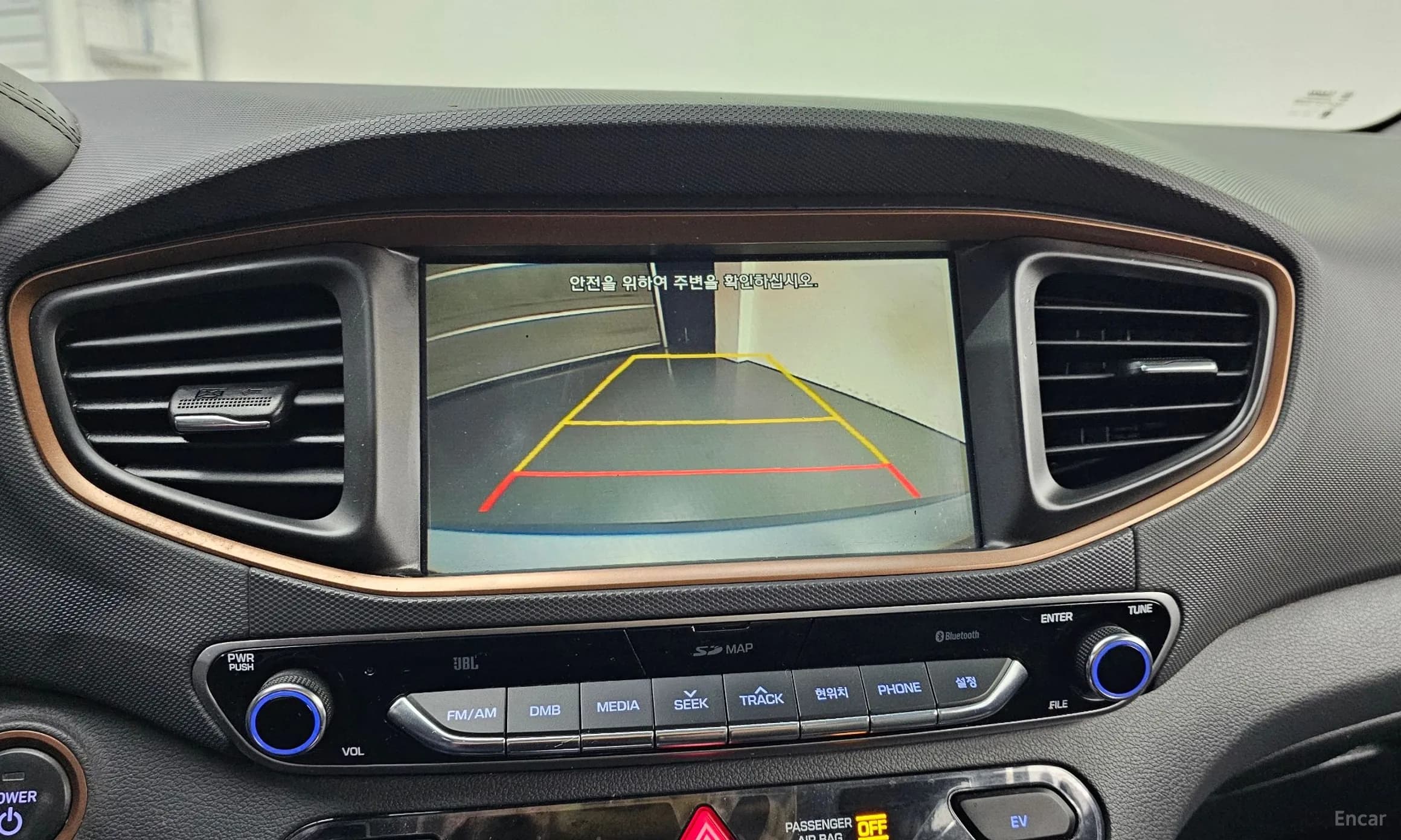 Ioniq Electric