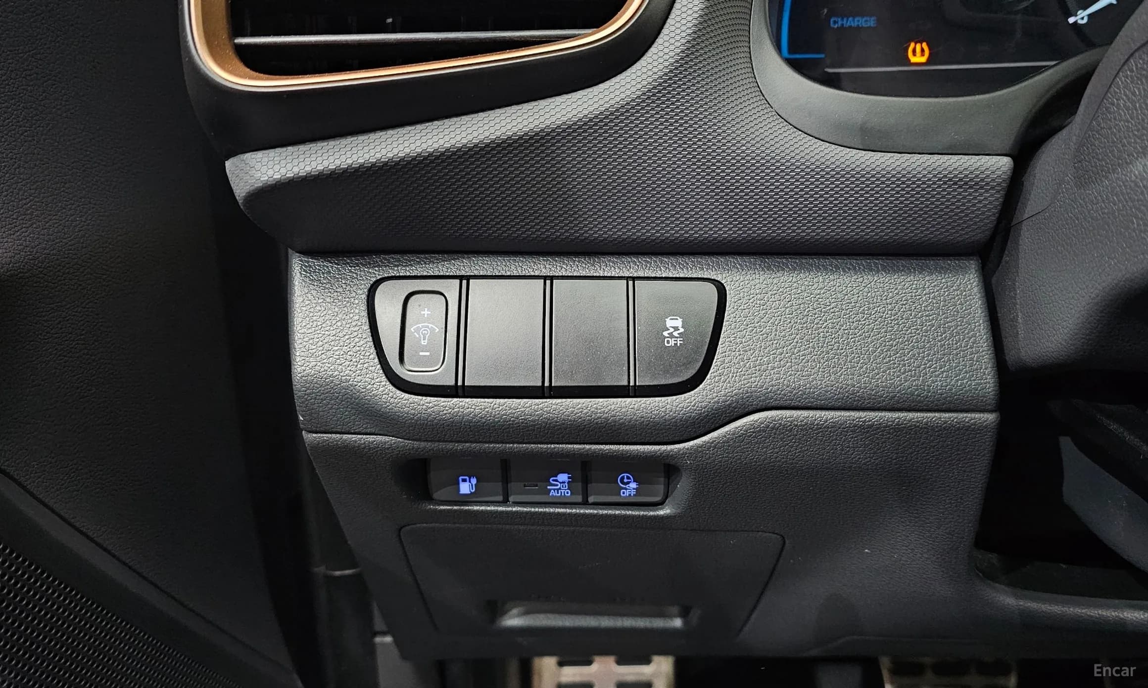 Ioniq Electric