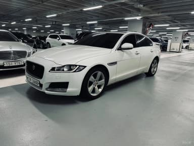 XF (x260)