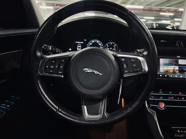 XF (x260)