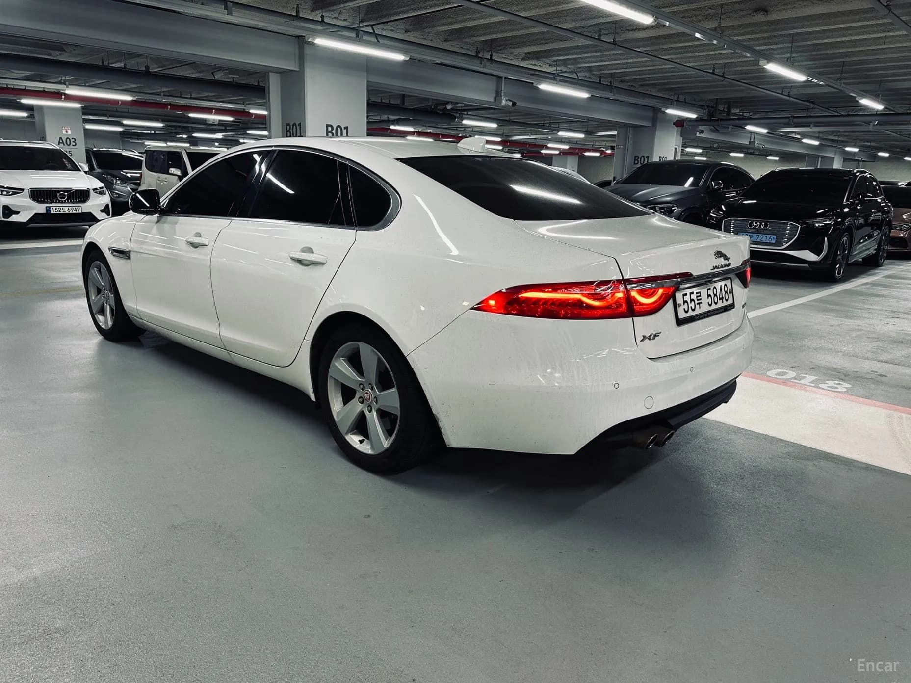 XF (x260)