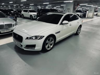 XF (x260)