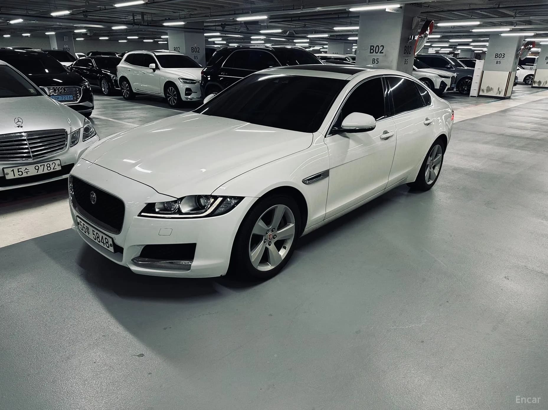 XF (x260)