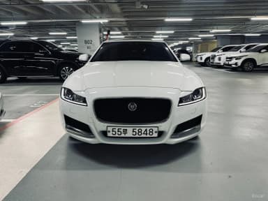 XF (x260)