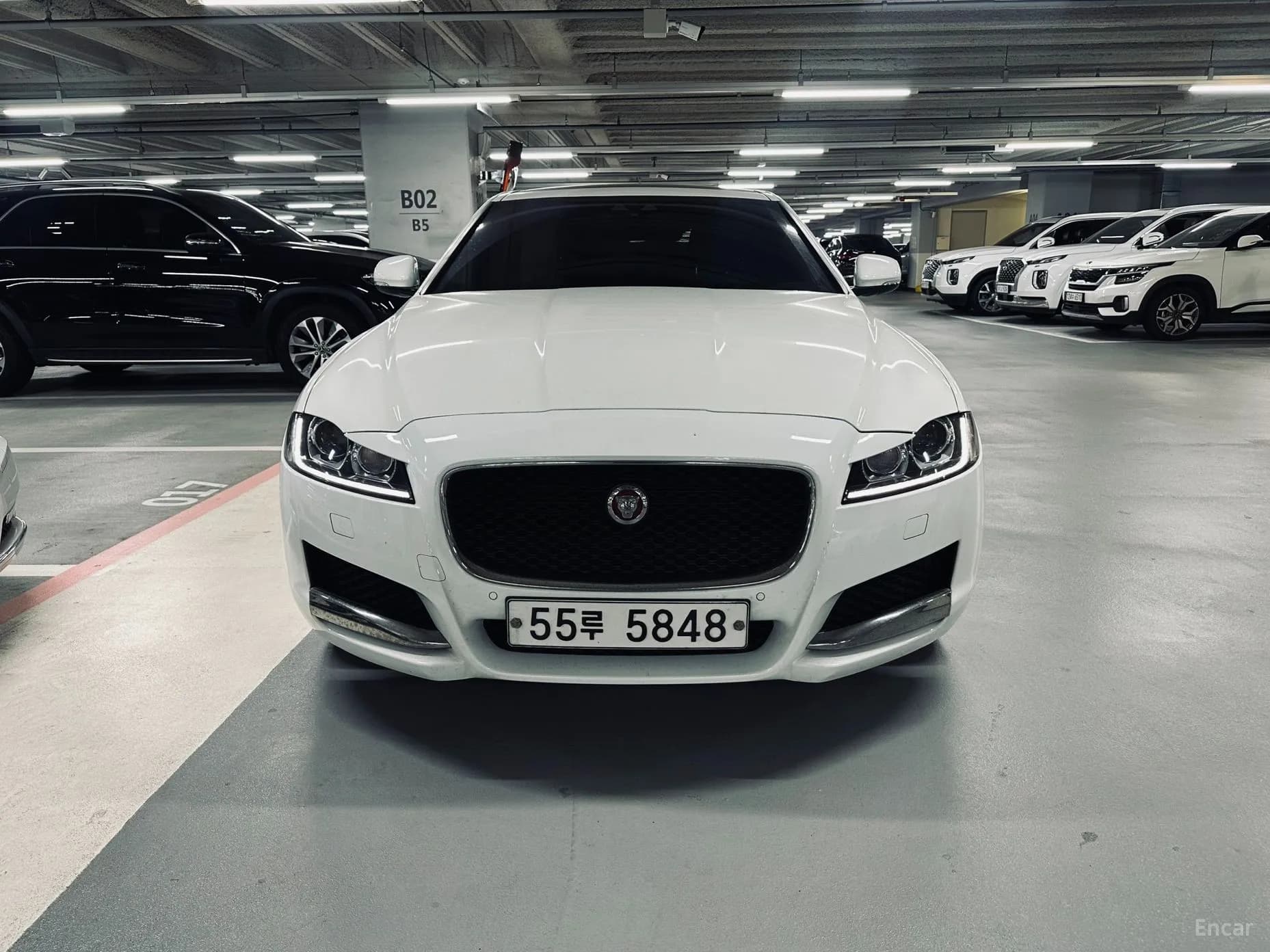 XF (x260)