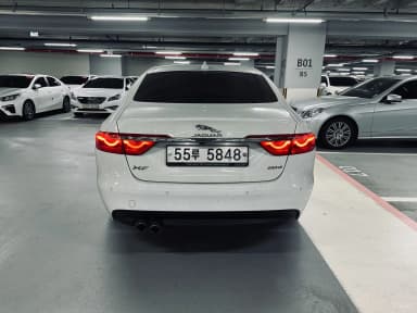 XF (x260)